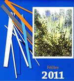 Féilire 2011 Calender 2011