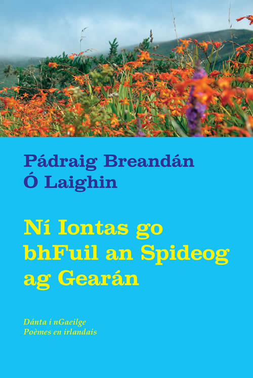 Ní Iontas go bhFuil an Spideog ag Gearán Pádraig Ó Laighin Filíocht Poésie Poetry Éditions de Lis