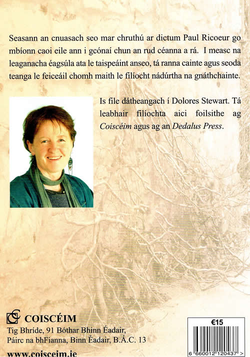 O Fhocal go Focal Delores Stewart Storchiste Focail do Flii Dictionary Lexicon Thesaurus for Gaelic poetry
