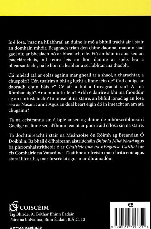Mac na hEabhrai Breandan O Doighlin