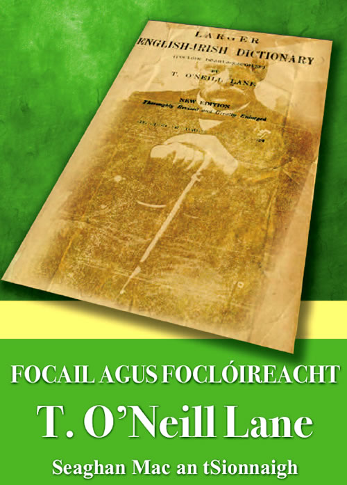 Focail agus Foclóireacht T. Ó Neill Lane le Seaghan Mac an tSionnaigh