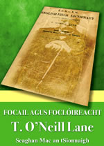 Focail agus Foclóireacht T. Ó Neill Lane le Seaghan Mac an tSionnaigh