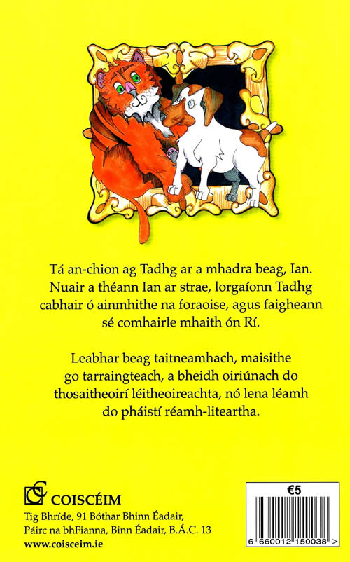 An Tiogar agus a Mhadra le Micheal O hUanachain learaidi le Sinead Ni Uallachain leabhar do leanai oga Irish book for children