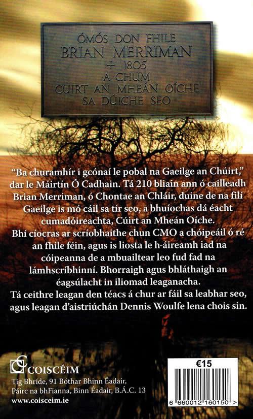 An eala ar a bhfuaid: Cuirt an Mhean Oiche i Lamha na Scriobhaithe le Liam O peaircin Tomas O Iceadham John Shannon Seamus mac Seaghan O Suilleabhain Dennis Woulfe