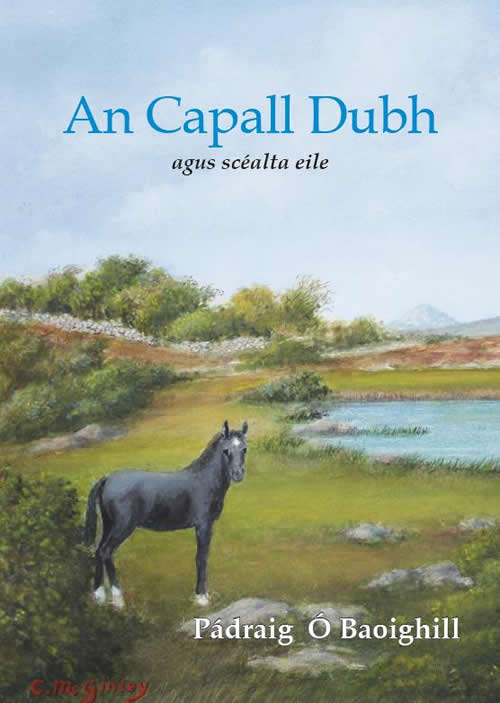 An Capall Dubh agus Scéalta Eile le Pádraig Ó Baoighill