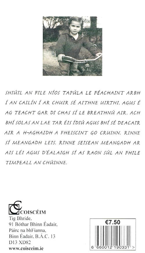 Vivienne Baillie An File The Poet Le Poete Leagan Gaeilge le Colm Ó Snodaigh