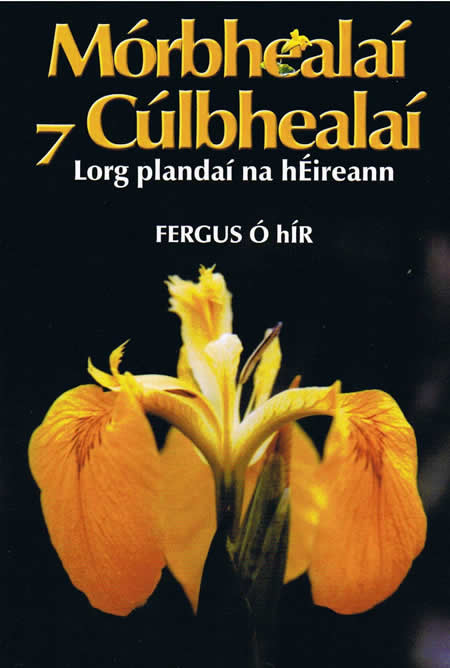 Mór Bhealaí agus Cúl Bhealaí Fergus Ó hÍr 